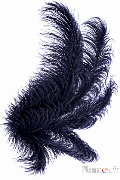 Struisvogel - 38-42 cm - zwart